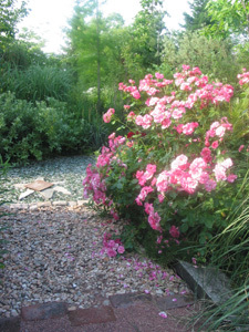JARDIN BOTANIQUE DE SAINT CHAMOND