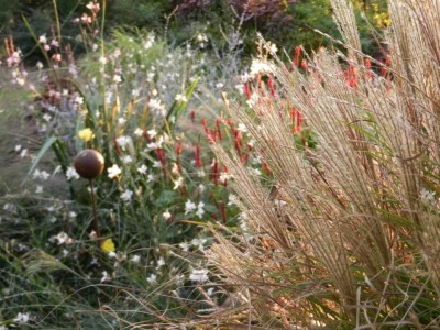 Jardin des quatre Temps