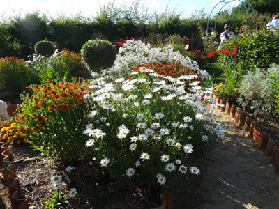 Jardin de Montjoie