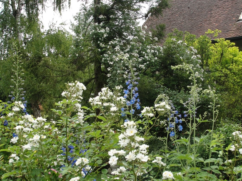 LE JARDIN DES VIEILLES VIGNES