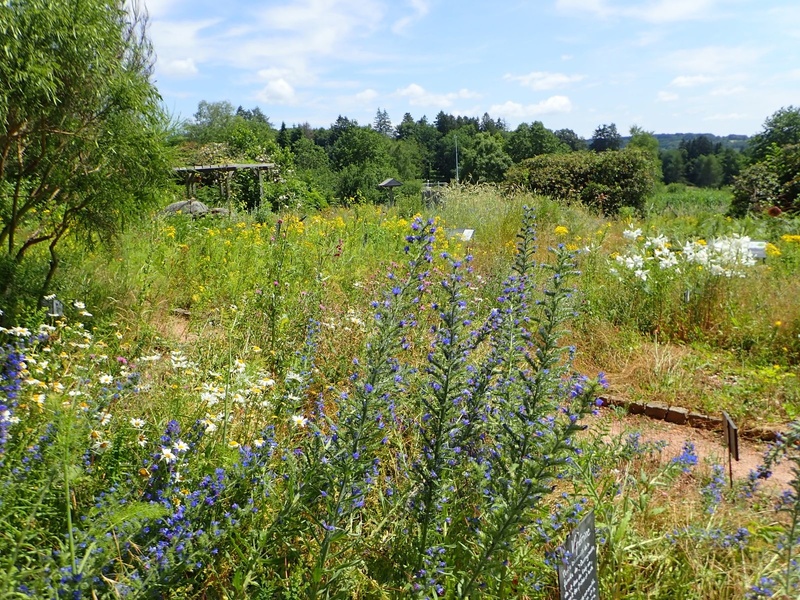 HERBULARIUM DE LA MAISON DU PARC
