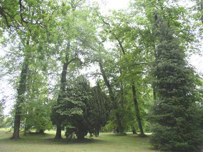 PARC DU PRIEURE DE CONS LA GRANDVILLE