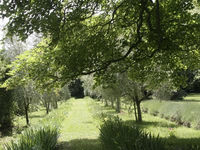 Parc du Domaine de Montlaur