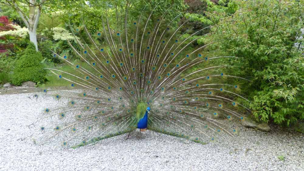 Jardin Botanique du Beau Pays