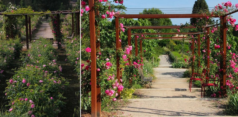 Les Jardins du Musée International de la Pafumerie