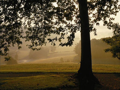 PARC ET JARDIN DU CHÂTEAU DE LANTILLY