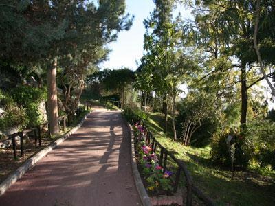 JARDIN BOTANIQUE DE NICE