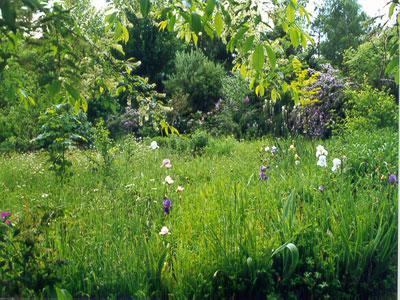 Arboretum du Chêne-Vert