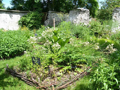 Jardin de la Lune