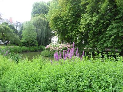 Jardin des Prébendes d'Oé