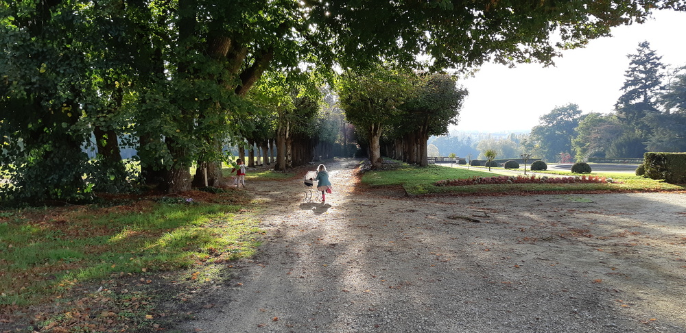 PARC ET JARDINS DU CHÂTEAU DE CRAON