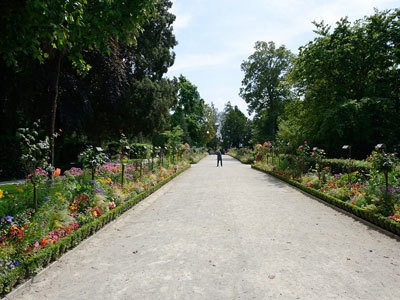 JARDIN DES PLANTES DE COUTANCES