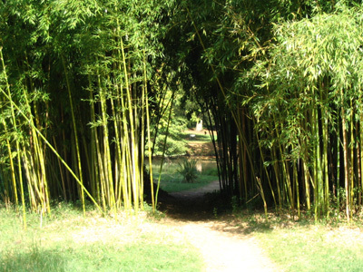 LE PARC DU MOULIN BLANC