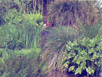 JARDINS EN HOMMAGE À JACQUES PRÉVERT