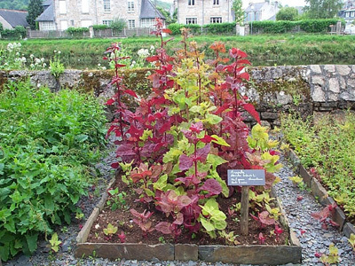 LE JARDIN DU PRIEURÉ LOCMARIA