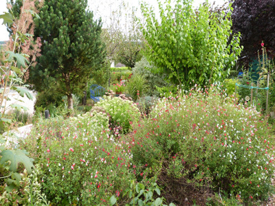 Jardin de Joselain