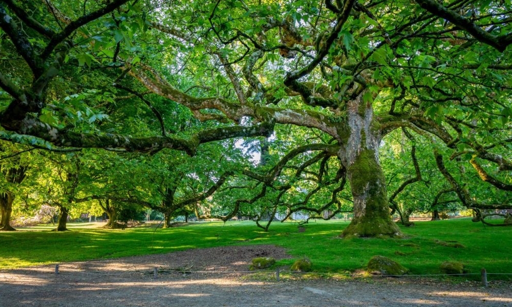 PARC ANIMALIER ET BOTANIQUE DE BRANFÉRÉ