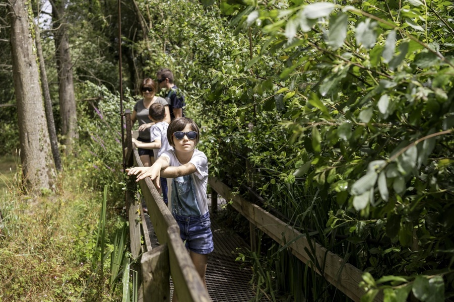 LES JARDINS DE BROCÉLIANDE