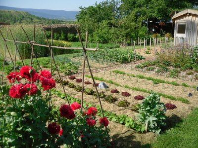 JARDIN POTAGER DE CAL MATEU