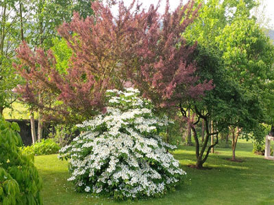 LE JARDIN D'ADOUÉ