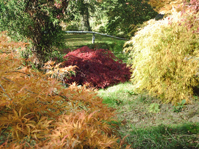 JARDIN BOTANIQUE DE GONDREMER