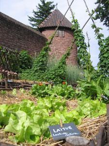 JARDIN MEDIEVAL DU CHÂTEAU DU HAUT-KOENIGSBOURG