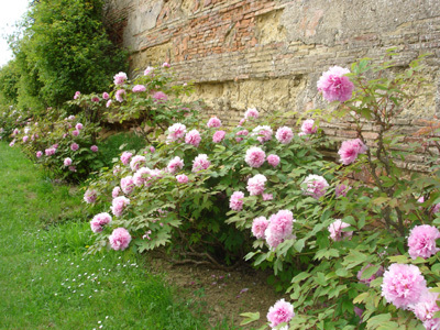 PARC DU CHÂTEAU DE CAUMONT