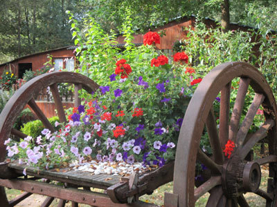 JARDIN DU BOIS FLEURI