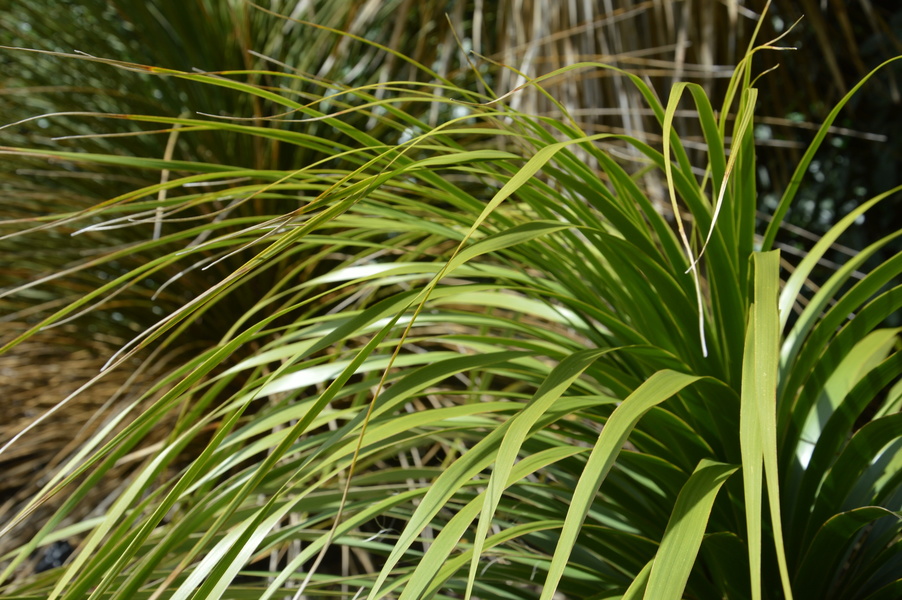 JARDIN GEORGES DELASELLE