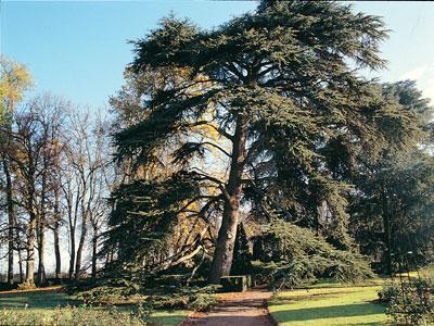 PARC FLORAL DE LA SOURCE