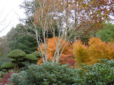 LES JARDINS DE KERLOUIS