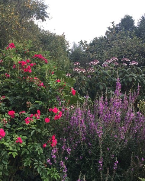 JARDIN DU PRIEURÉ DE SAINT-ARNOULT