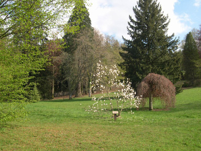 ARBORETUM DU CHÂTEAU DES BRASSEURS