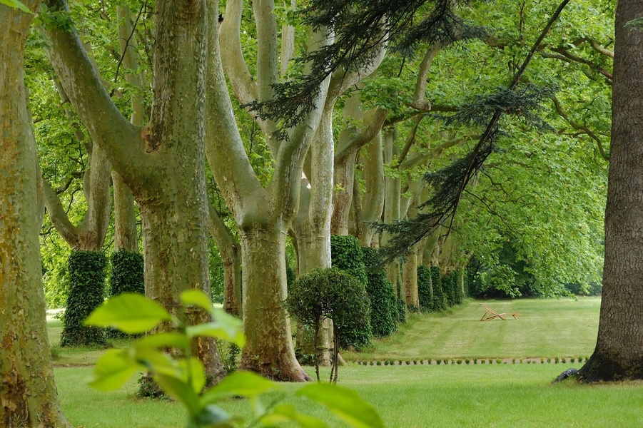 Parc du Domaine de Montlaur