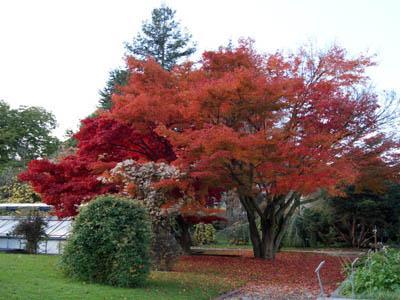 JARDIN BOTANIQUE DE L'UNIVERSITÉ DE STRASBOURG