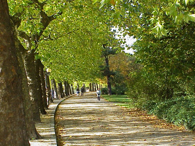 PARC D'ALLIER