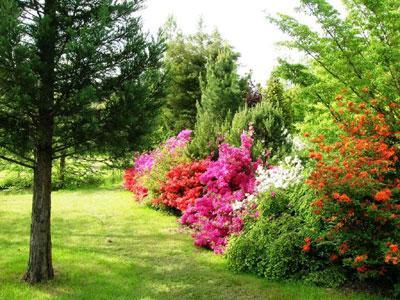 Les Jardins de l'Abbaye Notre-Dame d'Autrey