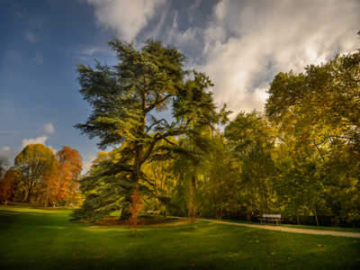 Parc du château d'Azay-le-Rideau