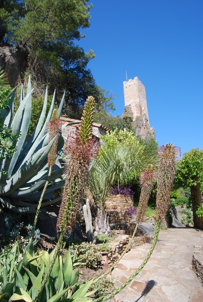 JARDIN MÉDITTERRANÉEN DE ROQUEBRUN