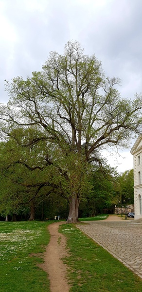 Parc de Grouchy