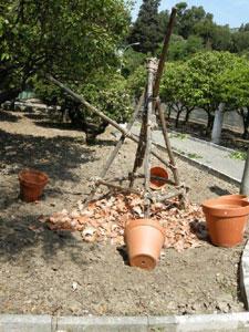 JARDIN D'AGRUMES DU PALAIS CARNOLÈS