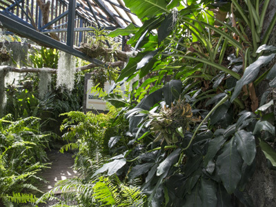 MASCARIN JARDIN BOTANIQUE DE LA RÉUNION