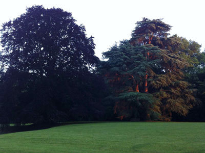 Parc du château de Pesselières