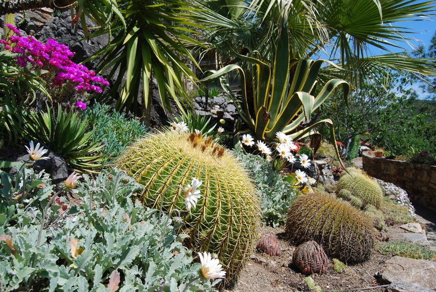 JARDIN MÉDITTERRANÉEN DE ROQUEBRUN