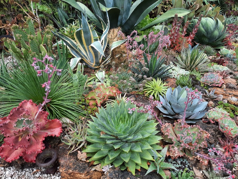 Jardin des petits prés