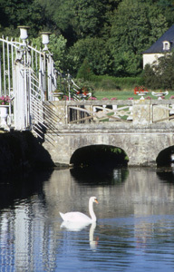 PARC DU CHÂTEAU DE DINTEVILLE