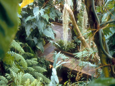 JARDIN BOTANIQUE JEAN-MARIE PELT