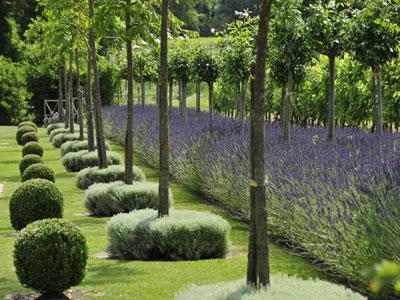 Les Jardins du Chaigne