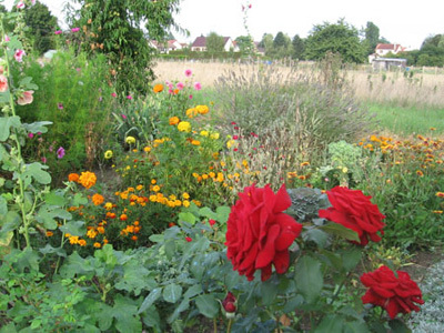 LA BARATTE LOIRE ET JARDINS