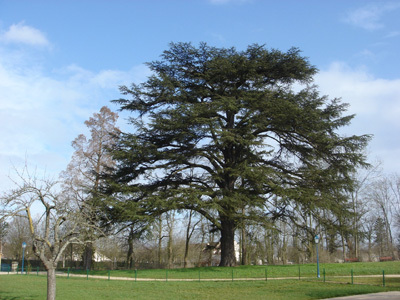 DOMAINE DE LA GRANGE- LA PRÉVÔTÉ